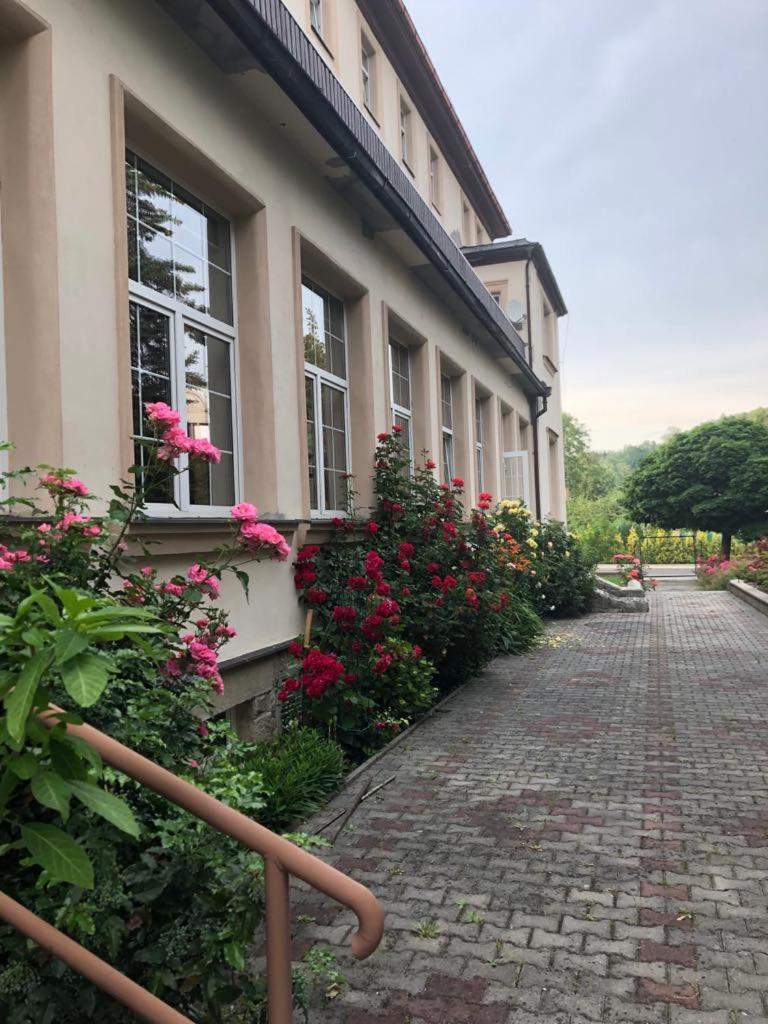 Grandhotel Novy Bor Bagian luar foto